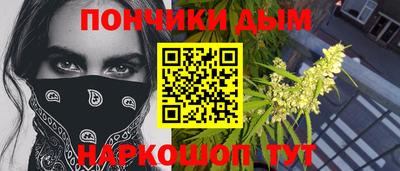 шишки Заводоуковск