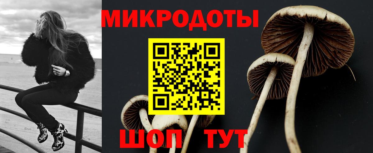 Псилоцибиновые грибы MAGIC MUSHROOMS Кыштым