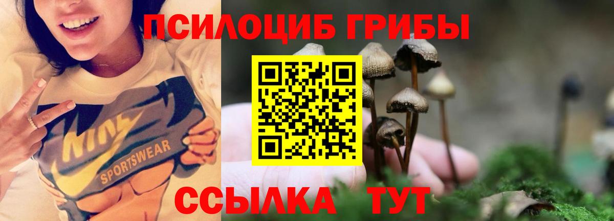 Галлюциногенные грибы мухоморы  Вход с VPN  Кыштым 
